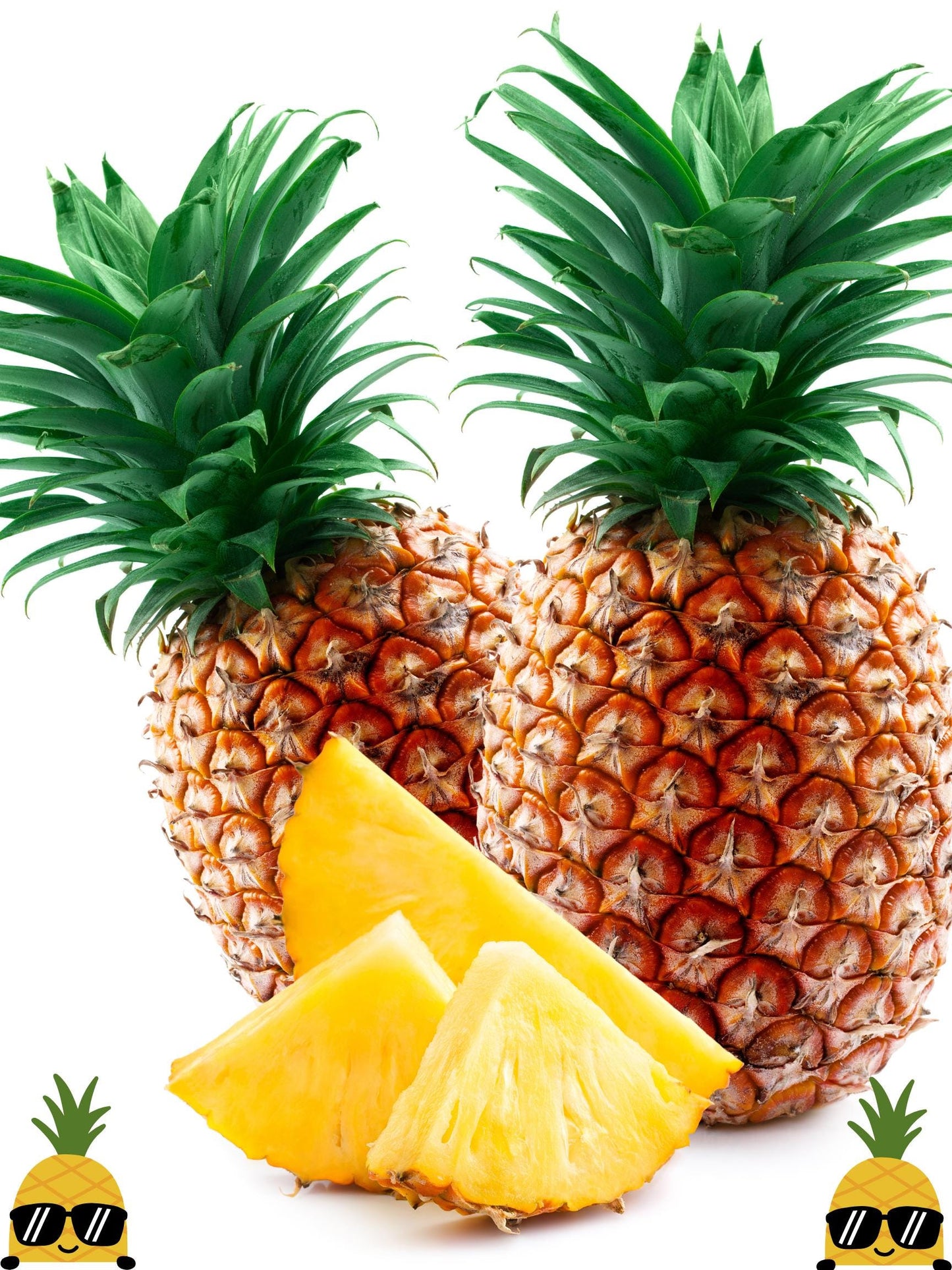 Pineapple Hard Candy Tropical Snacks Treats Gift Giving 5oz